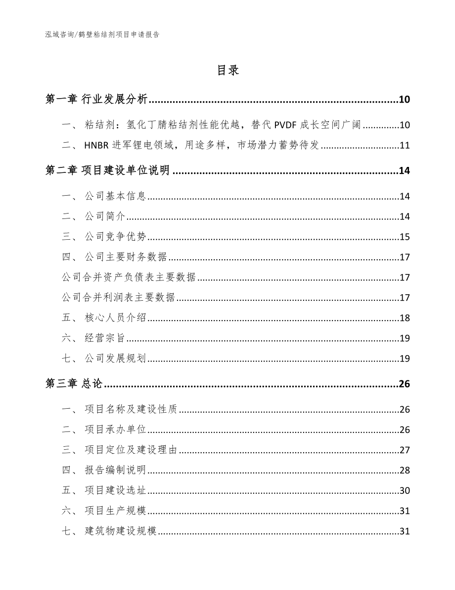 鹤壁粘结剂项目申请报告（范文模板）_第1页