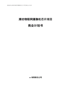 潍坊物联网摄像机芯片项目商业计划书（范文）