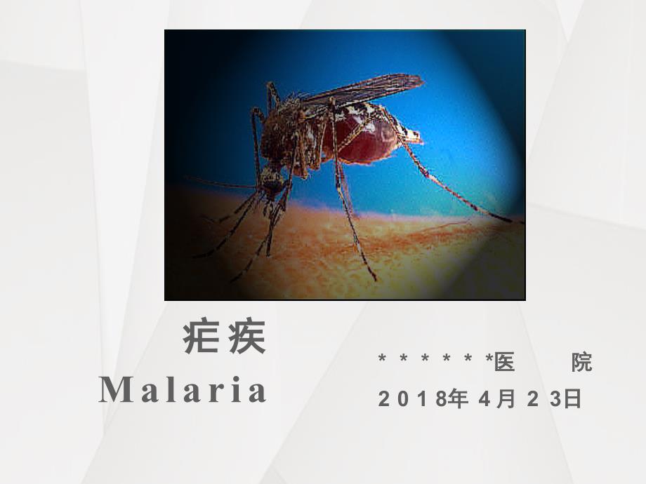 疟疾培训资料ppt课件_第1页