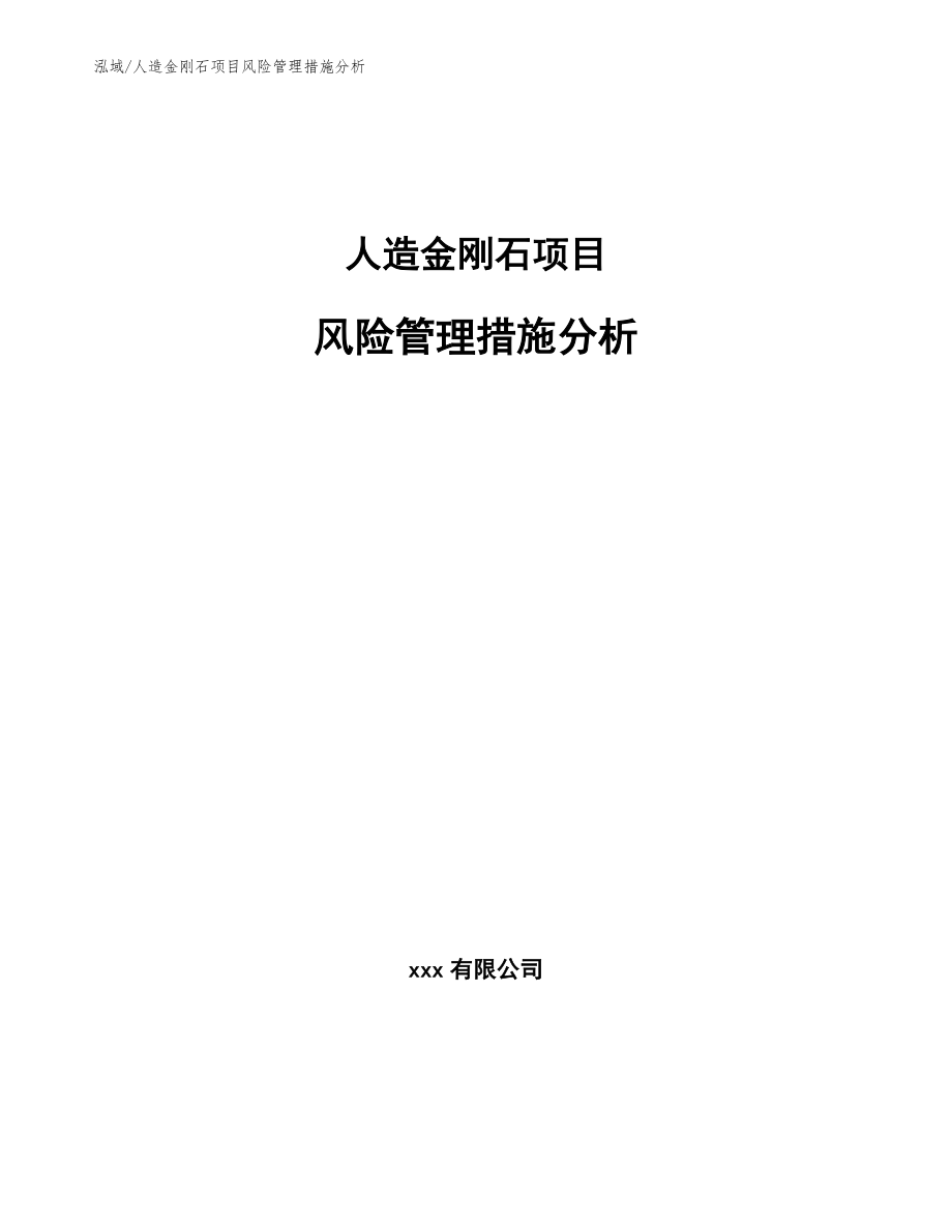 人造金刚石项目风险管理措施分析【参考】_第1页