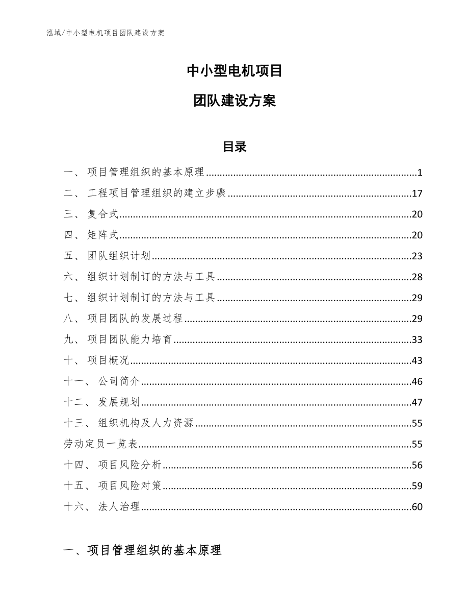 中小型电机项目团队建设方案【范文】_第1页