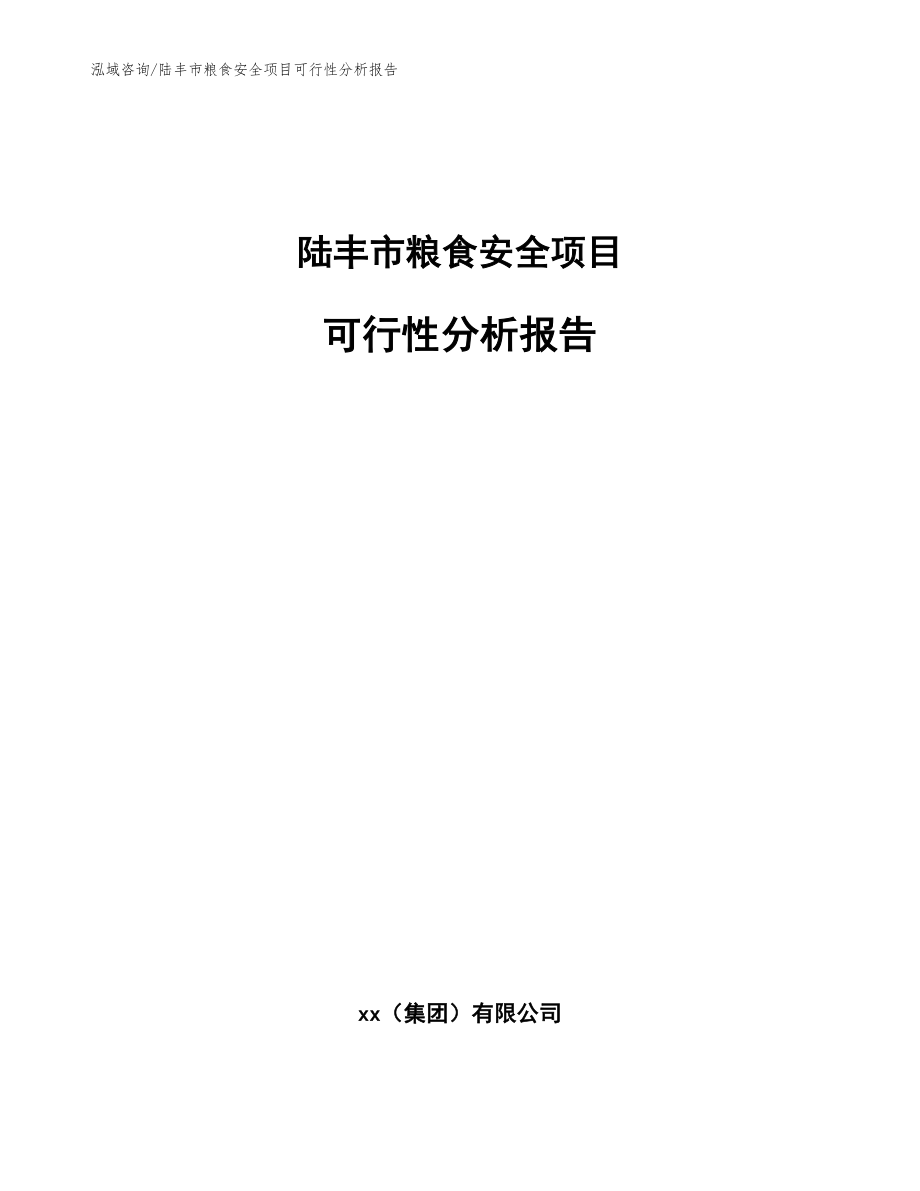 陆丰市粮食安全项目可行性分析报告【模板范本】_第1页