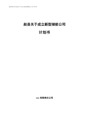 赵县关于成立新型储能公司计划书范文模板