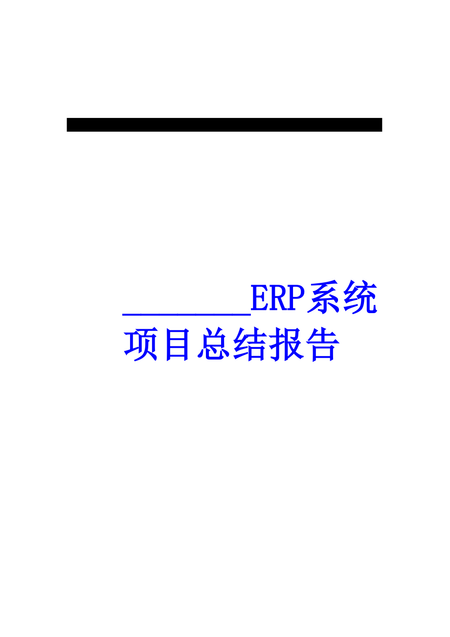 ERP系统项目实施总结报告_第1页