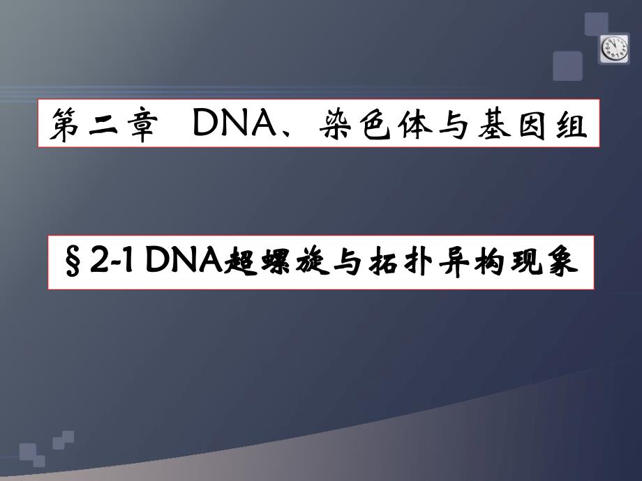 DNA超螺旋、基因组、染色体_第1页