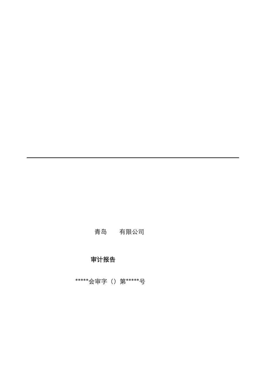 青岛公司审计报告_第1页