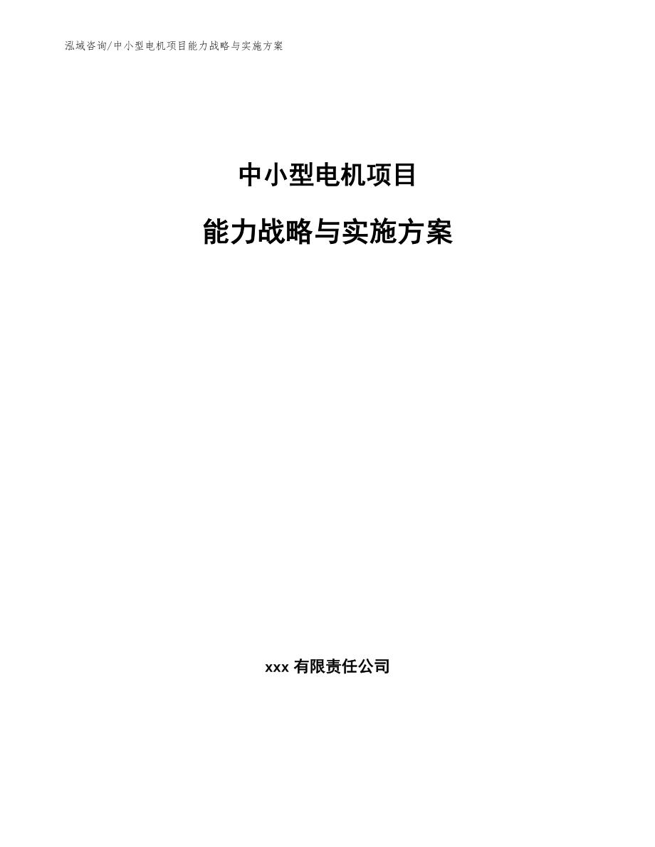 中小型电机项目能力战略与实施方案【范文】_第1页