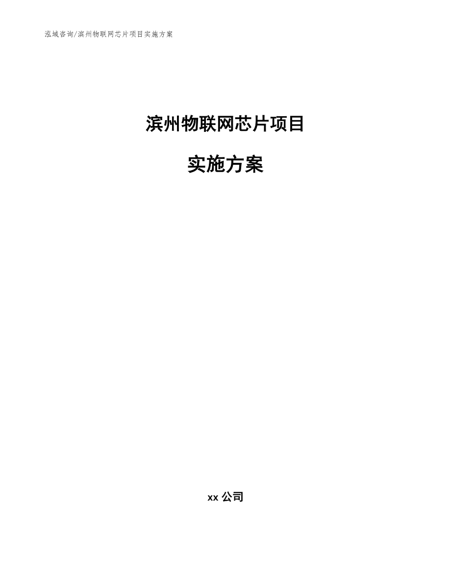 滨州物联网芯片项目实施方案（范文）_第1页