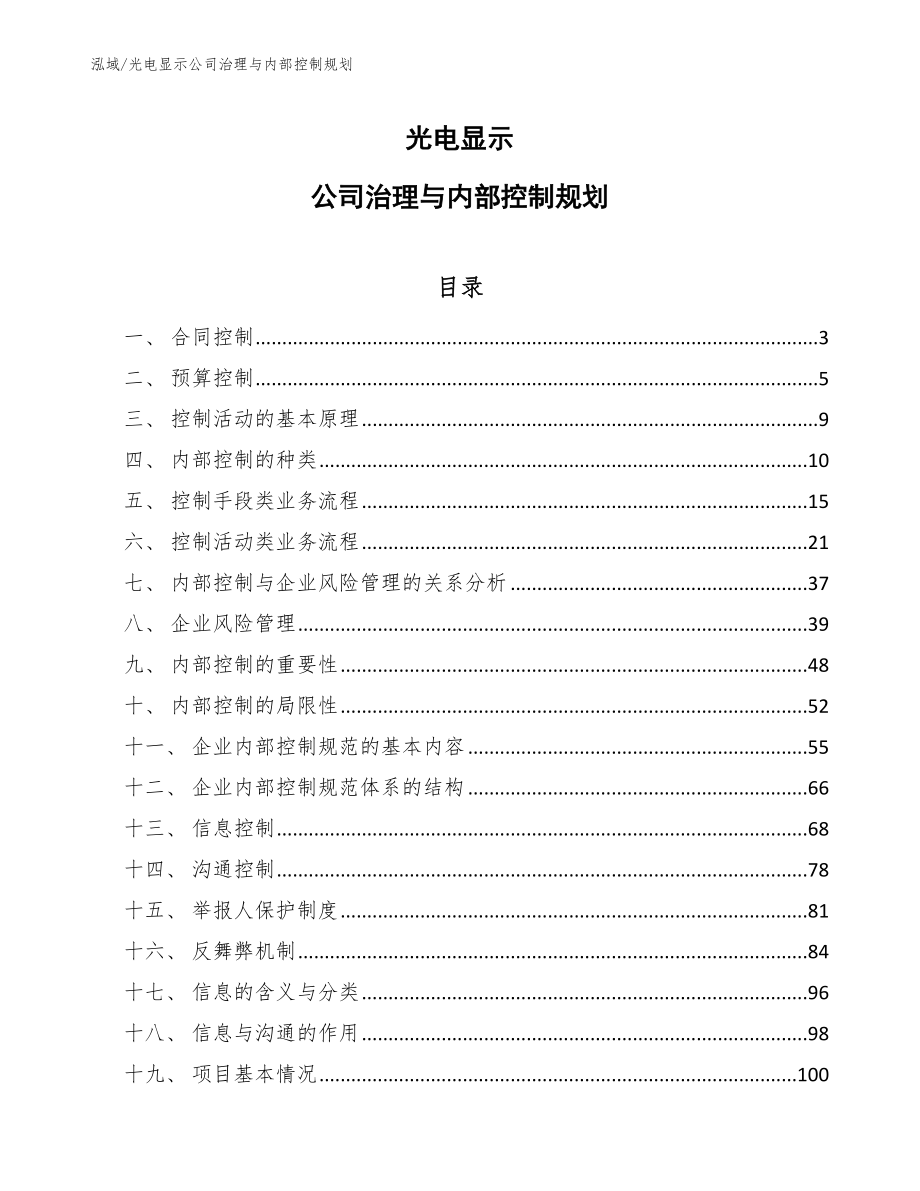 光电显示公司治理与内部控制规划（参考）_第1页