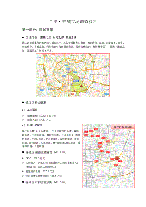20130110锦江区市调报告(初稿)
