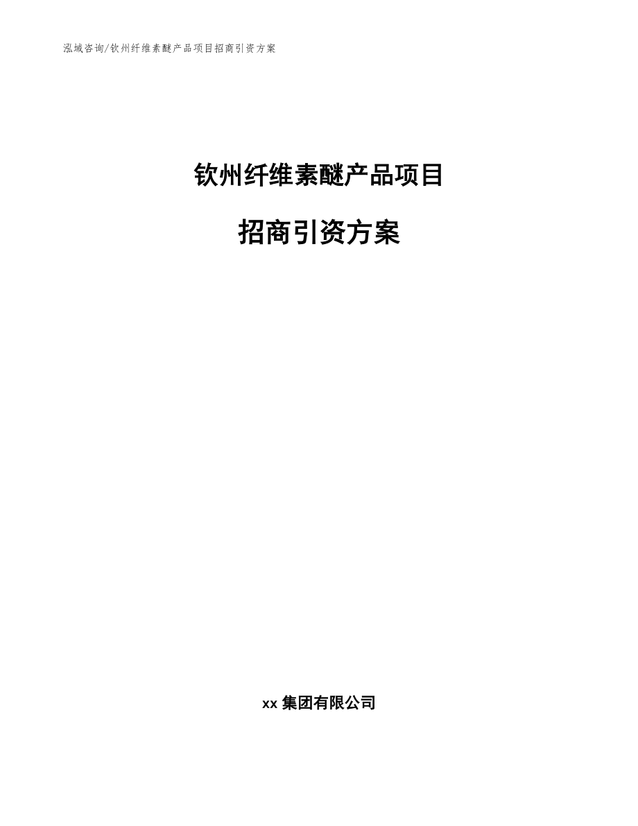 钦州纤维素醚产品项目招商引资方案模板范文_第1页