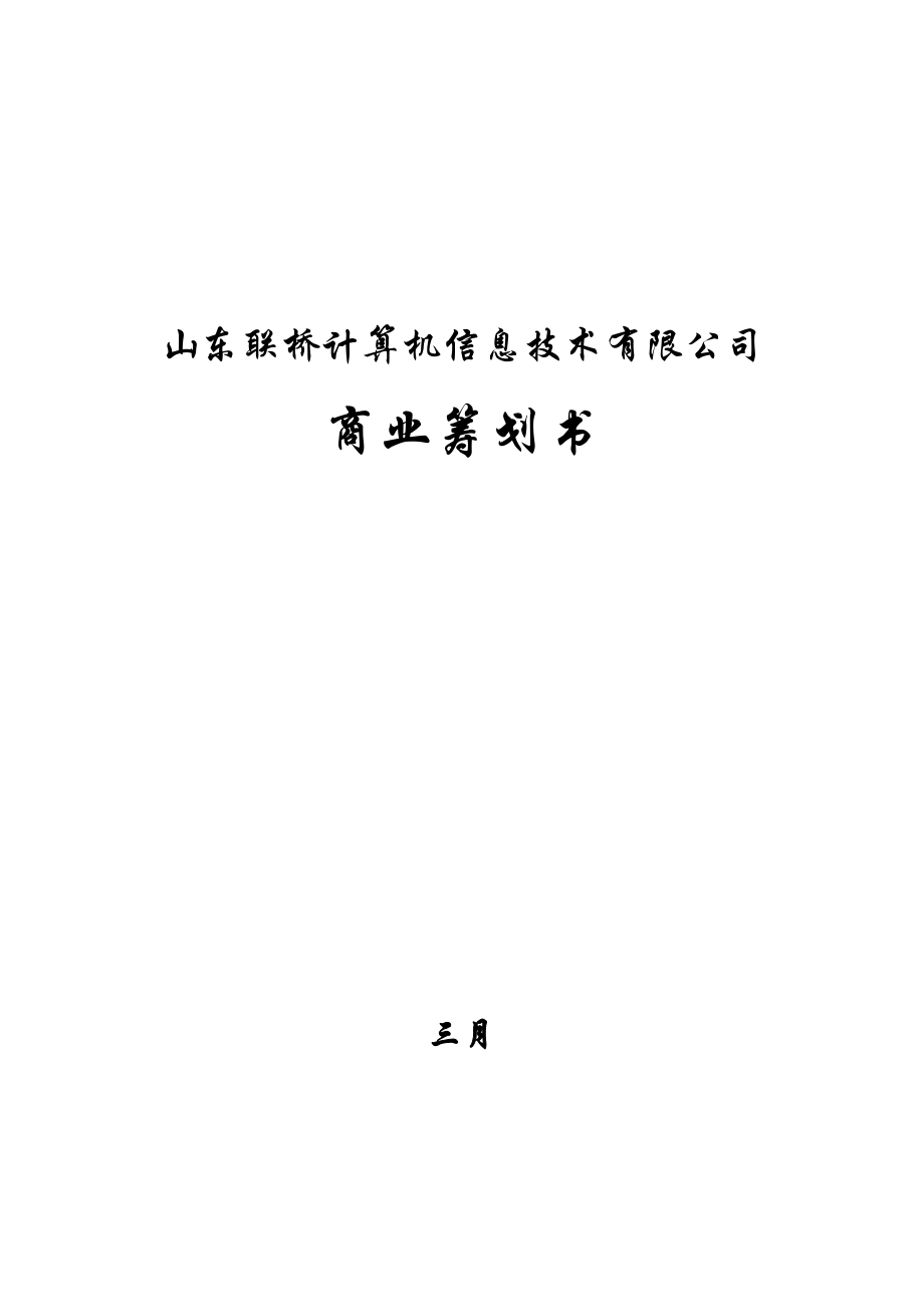 山东计算机信息重点技术公司商业综合计划书_第1页