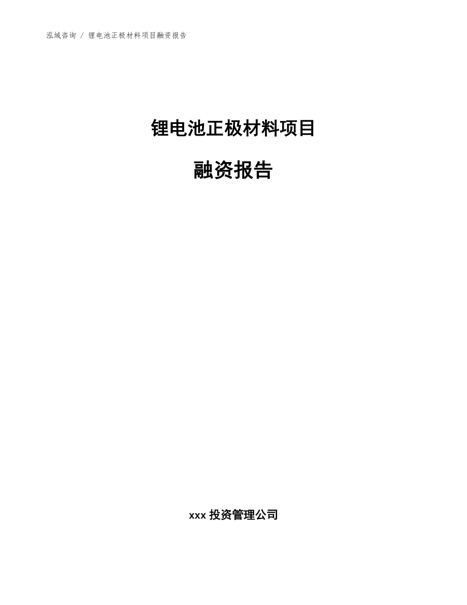 锂电池正极材料项目融资报告_参考模板_第1页