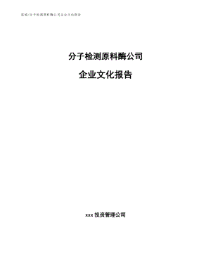 分子检测原料酶公司企业文化报告（范文）