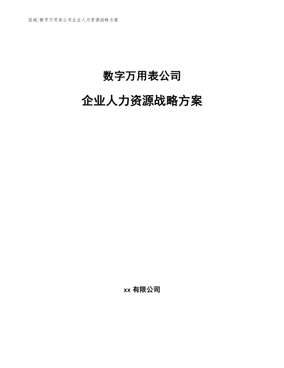 数字万用表公司企业人力资源战略方案【参考】_第1页