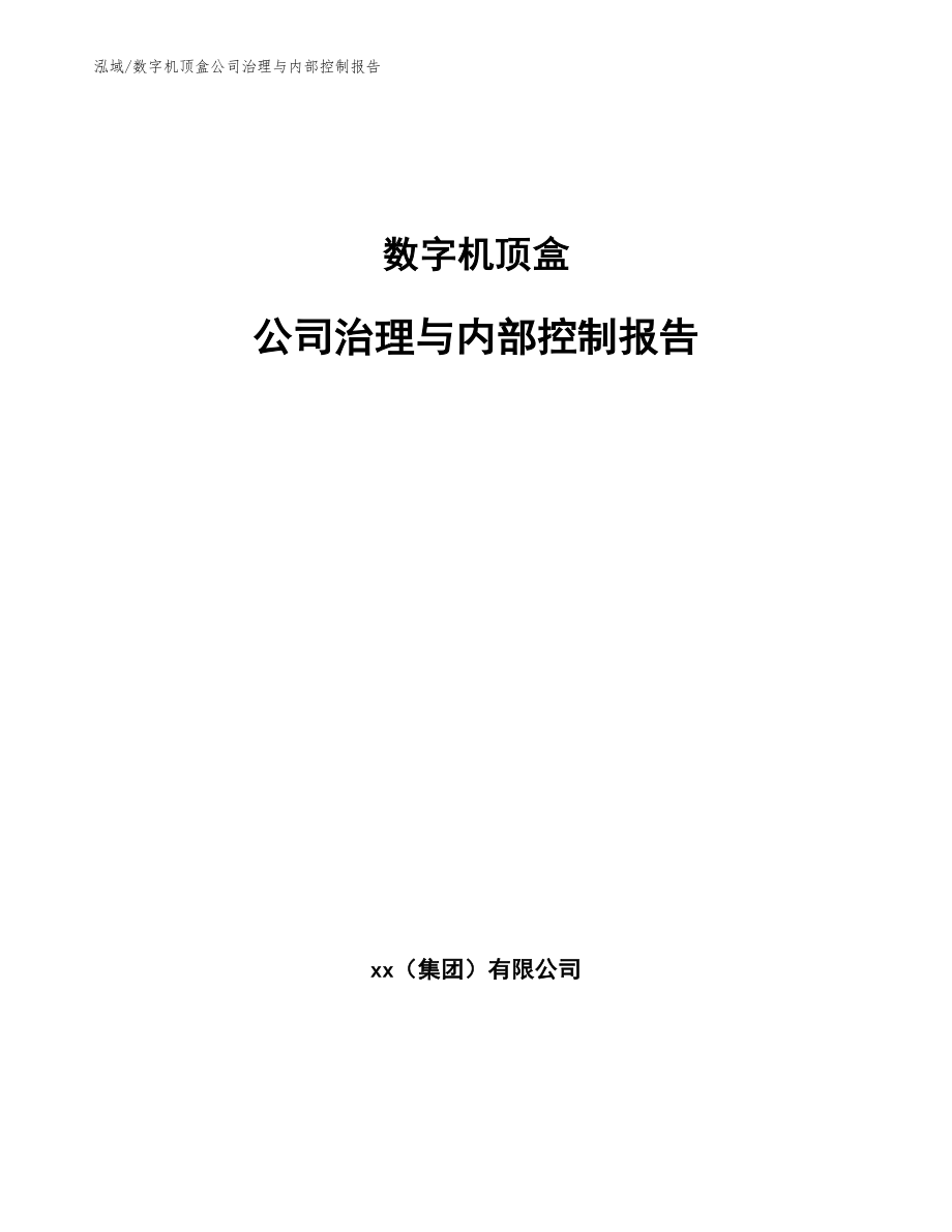 数字机顶盒公司治理与内部控制报告_第1页