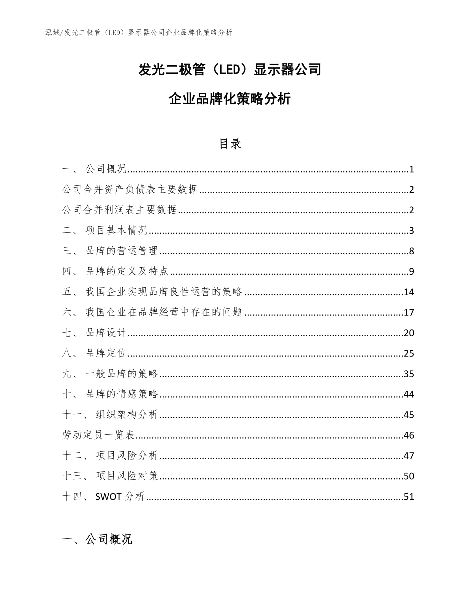 发光二极管（LED）显示器公司企业品牌化策略分析（参考）_第1页