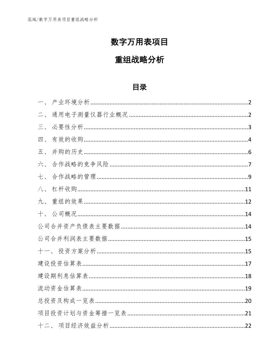 数字万用表项目重组战略分析_范文_第1页