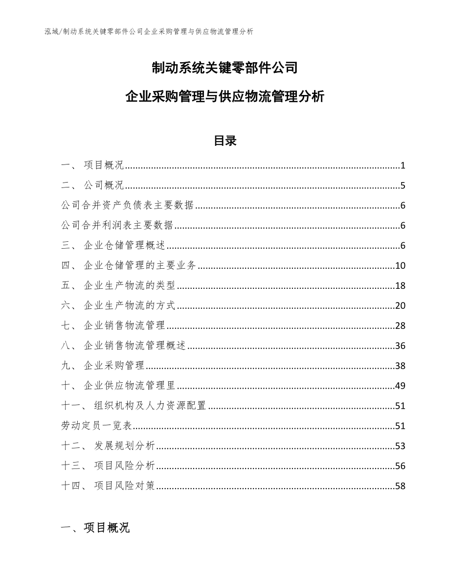 制动系统关键零部件公司企业采购管理与供应物流管理分析【参考】_第1页