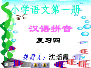 汉语拼音复习四 (2)