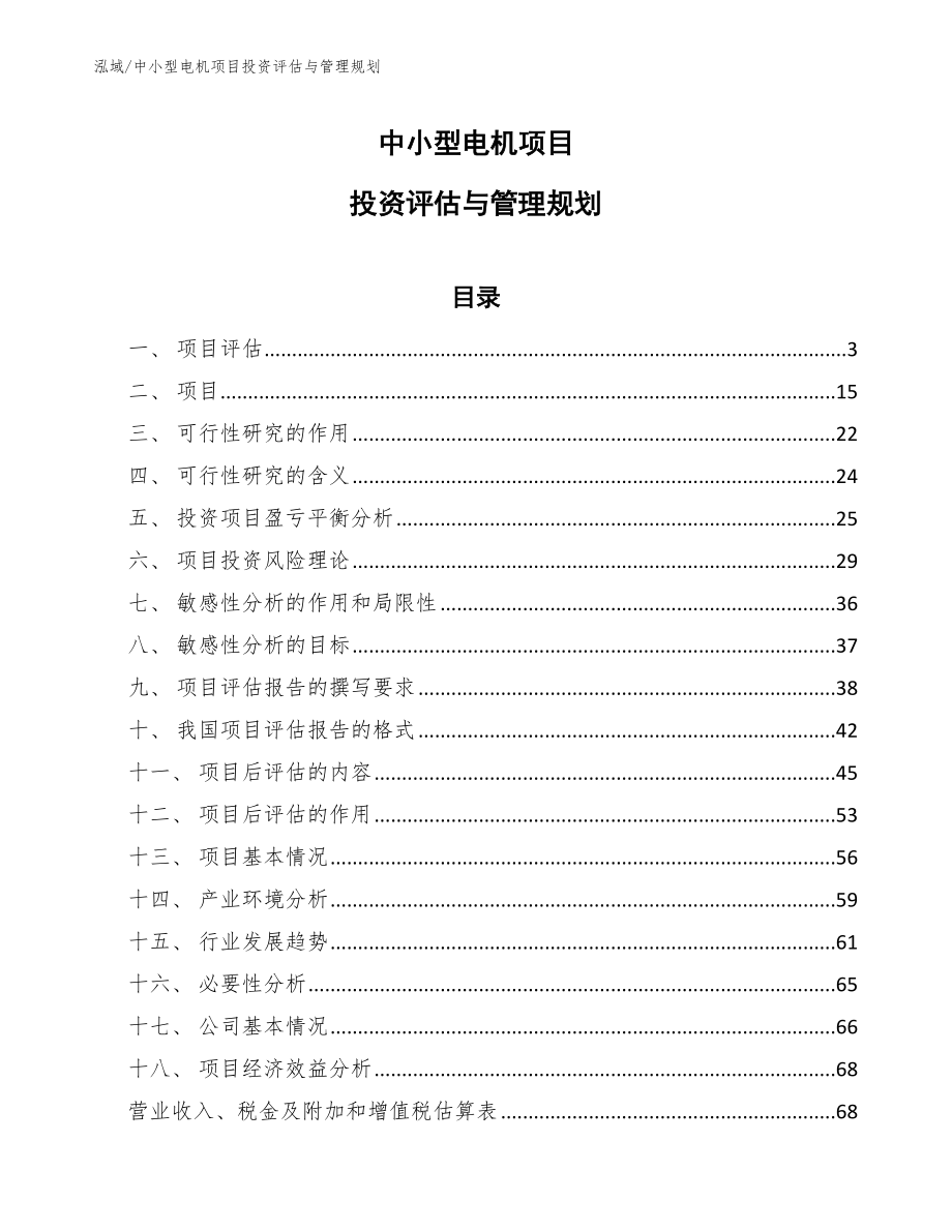 中小型电机项目投资评估与管理规划（范文）_第1页