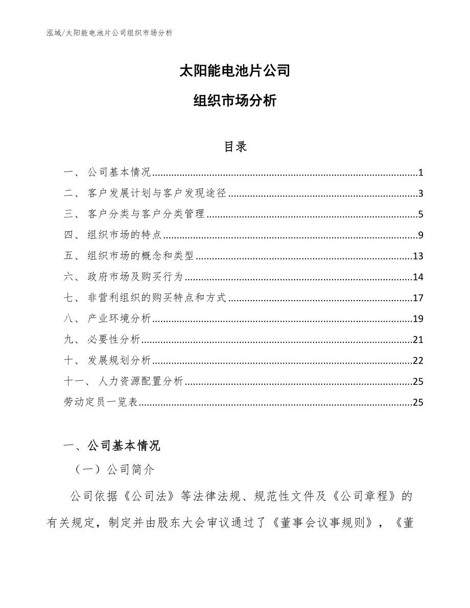 太阳能电池片公司组织市场分析_第1页