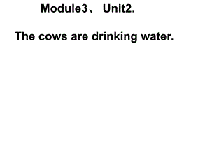 六年级英语下册课件Module3Unit2Thecowsaredrinkingwater.5外研版