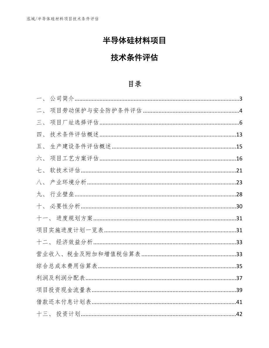 半导体硅材料项目技术条件评估（范文）_第1页