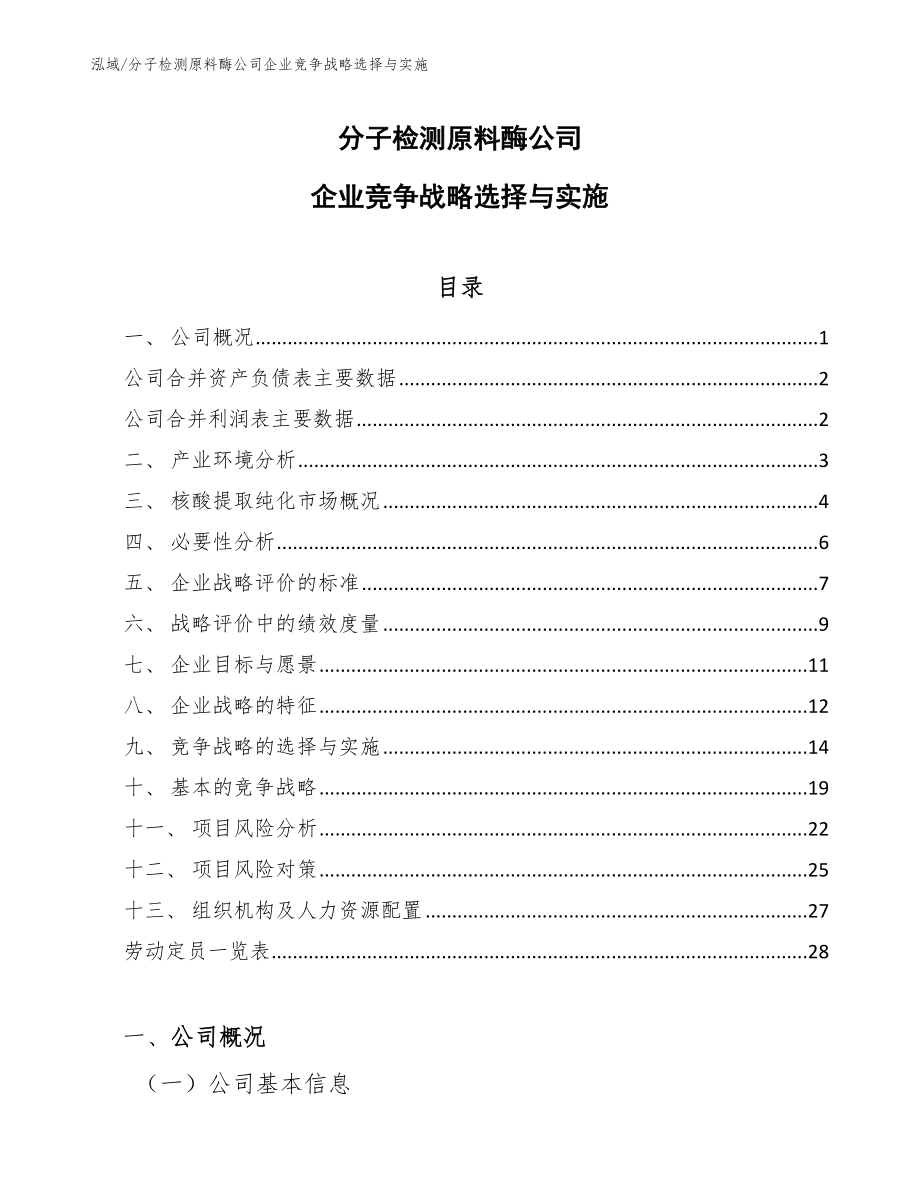 分子检测原料酶公司企业竞争战略选择与实施（参考）_第1页