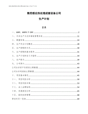 数控感应热处理成套设备公司生产计划