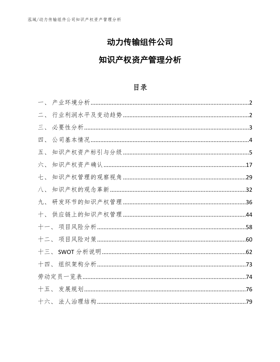 动力传输组件公司知识产权资产管理分析_参考_第1页