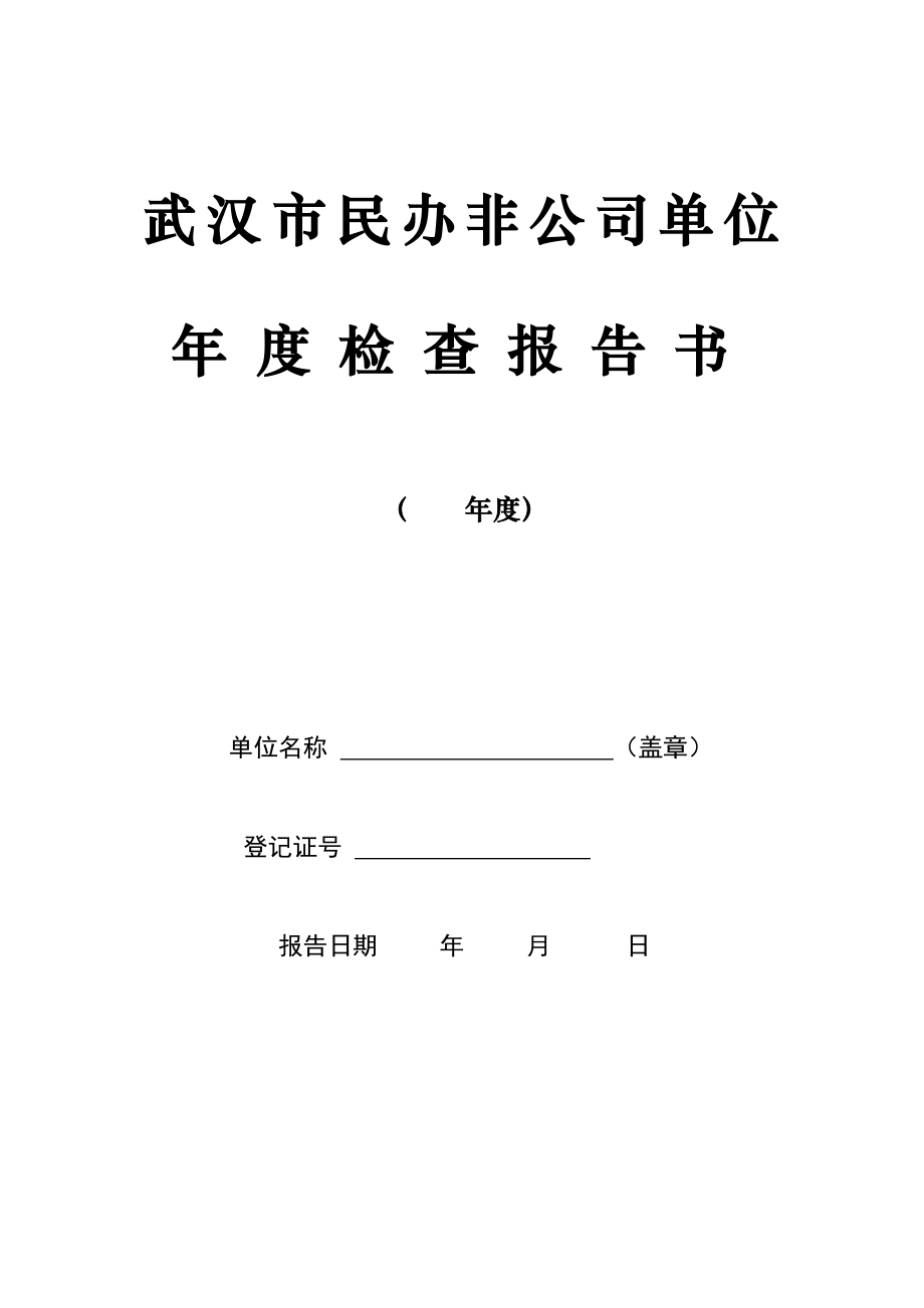 武汉市民非年检报告书_第1页