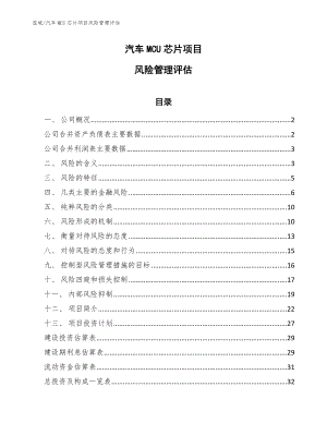 汽车MCU芯片项目风险管理评估【范文】