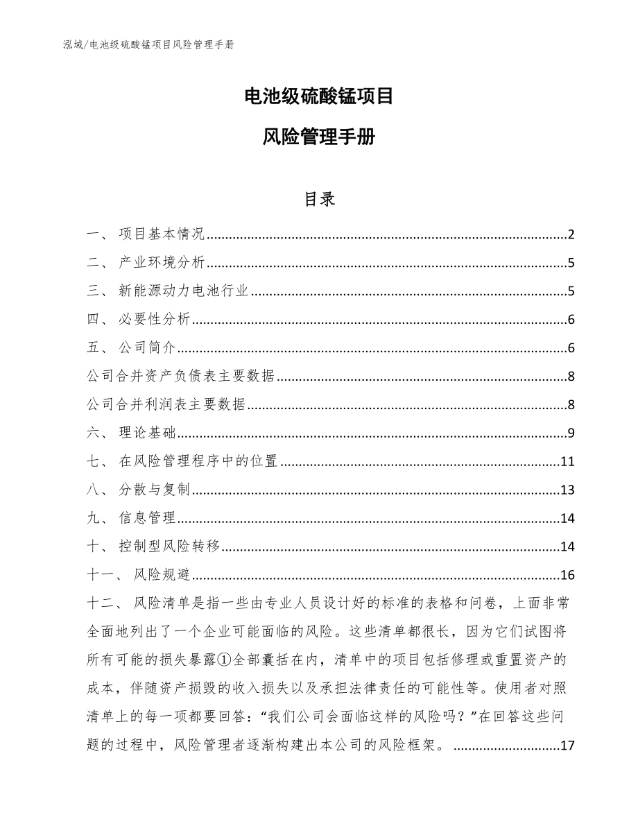 电池级硫酸锰项目风险管理手册（范文）_第1页