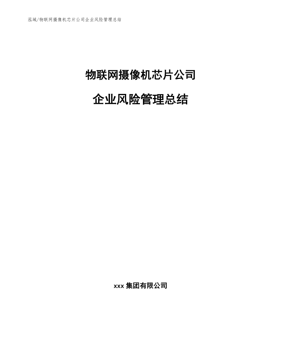 物联网摄像机芯片公司企业风险管理总结_第1页