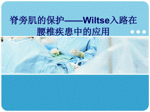 脊旁肌的保护Wiltse入路在腰椎疾患中的应用