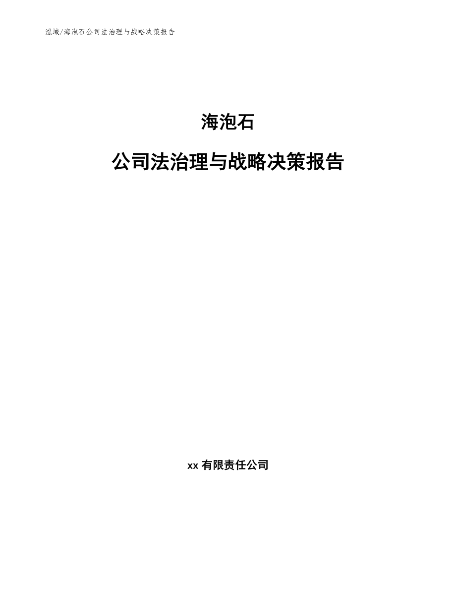 海泡石公司法治理与战略决策报告_第1页