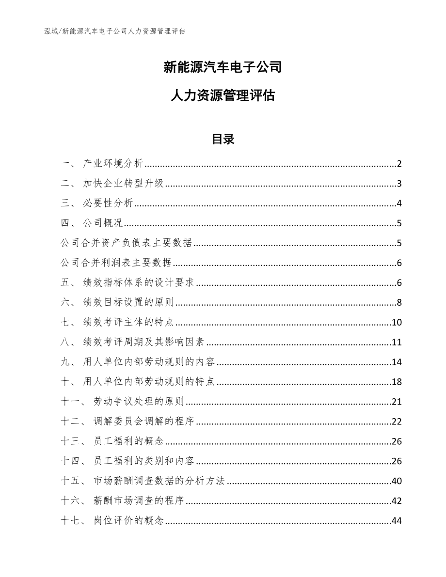 新能源汽车电子公司人力资源管理评估_第1页