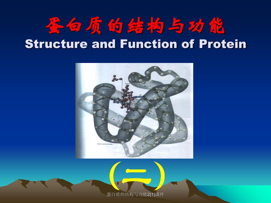 蛋白质的结构与功能21课件_第1页