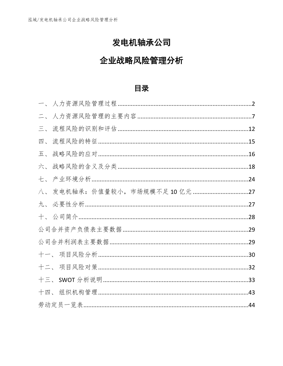 发电机轴承公司企业战略风险管理分析_第1页