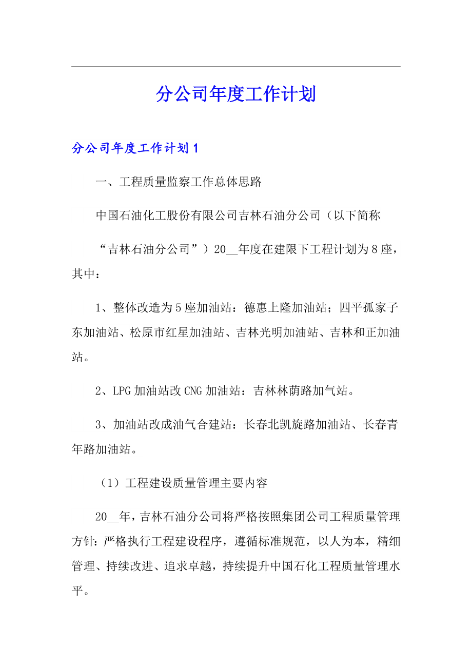 分公司年度工作计划_第1页