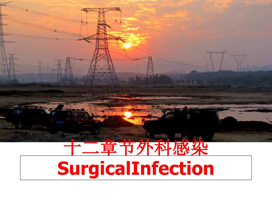 最新十二章节外科感染SurgicalInfection精品课件_第1页
