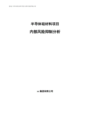 半导体硅材料项目内部风险抑制分析_参考