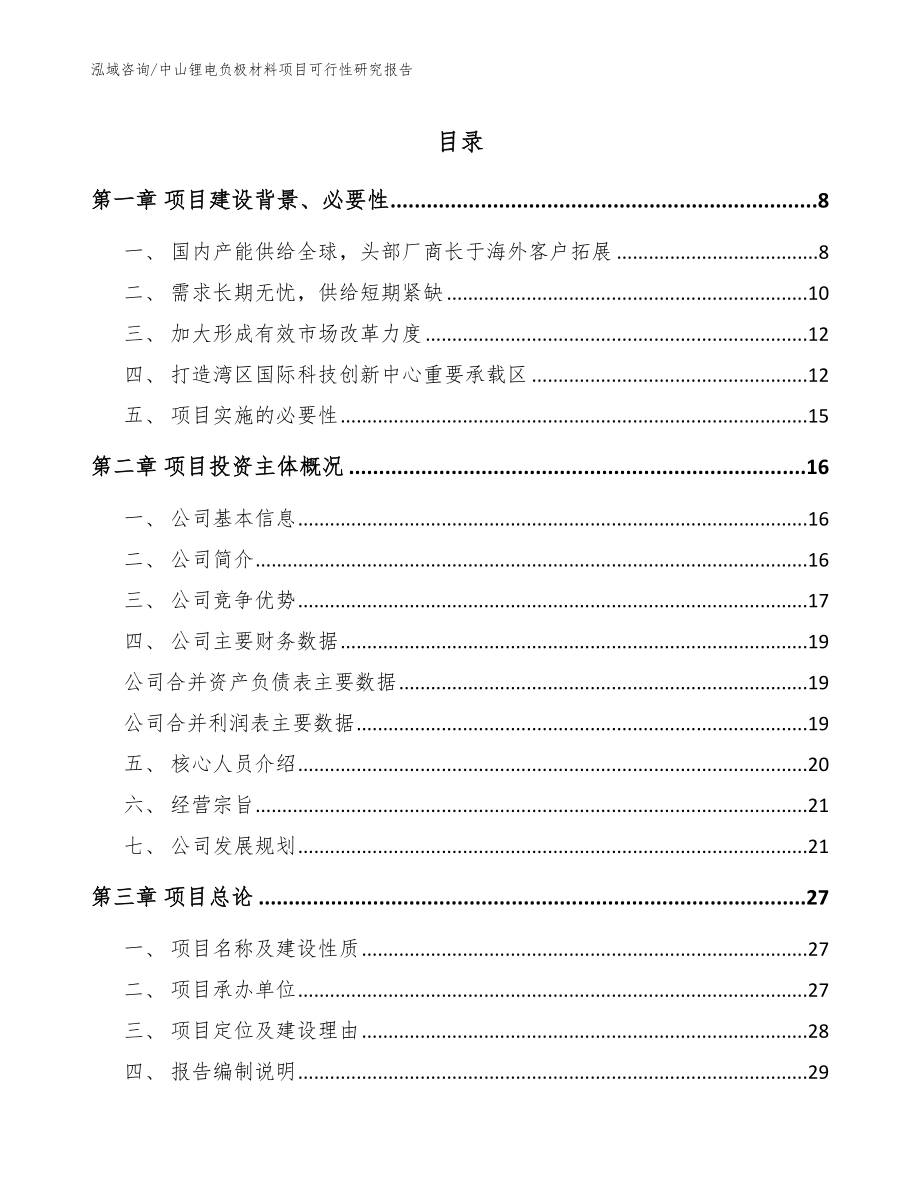 中山锂电负极材料项目可行性研究报告_范文参考_第1页