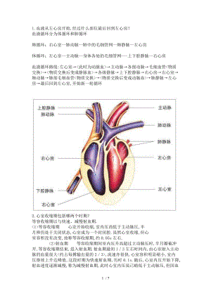 心脏循环图片
