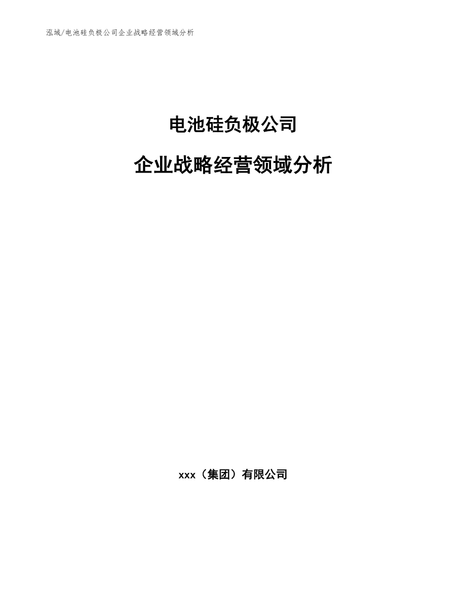 电池硅负极公司企业战略经营领域分析_参考_第1页