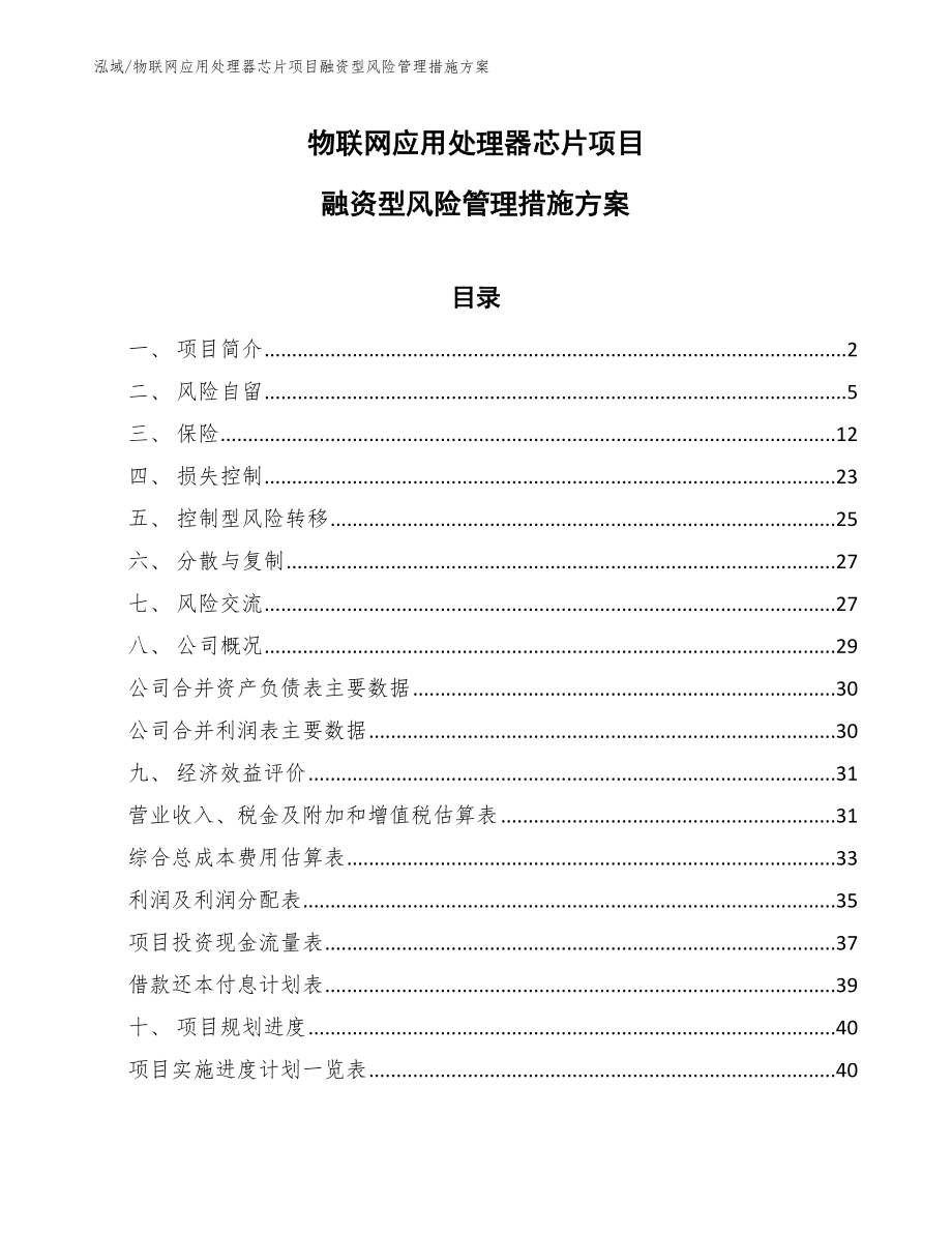 物联网应用处理器芯片项目融资型风险管理措施方案_范文_第1页