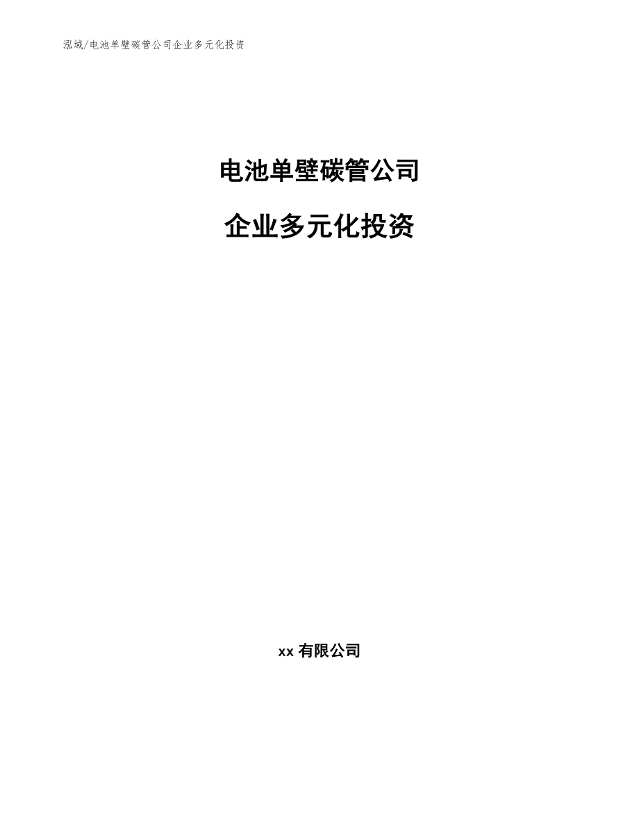 电池单壁碳管公司企业多元化投资【范文】_第1页