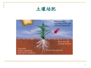 土壤培肥及土壤污染