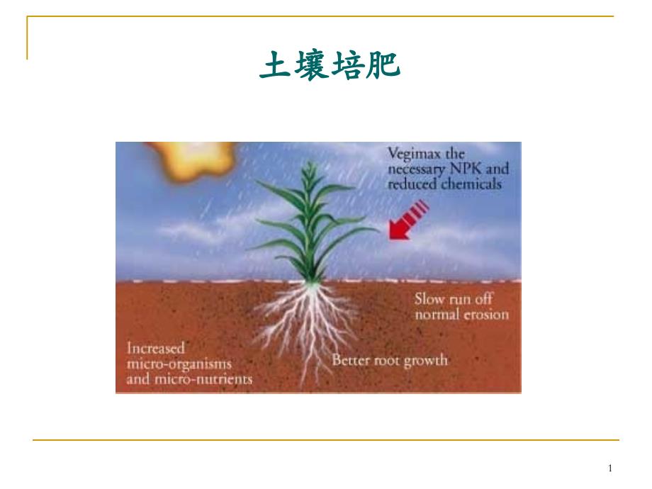 土壤培肥及土壤污染_第1页